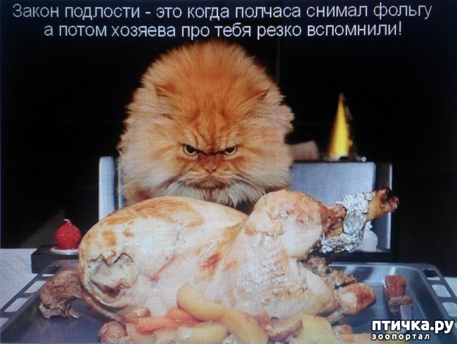 ���� 9: �����������, ��!