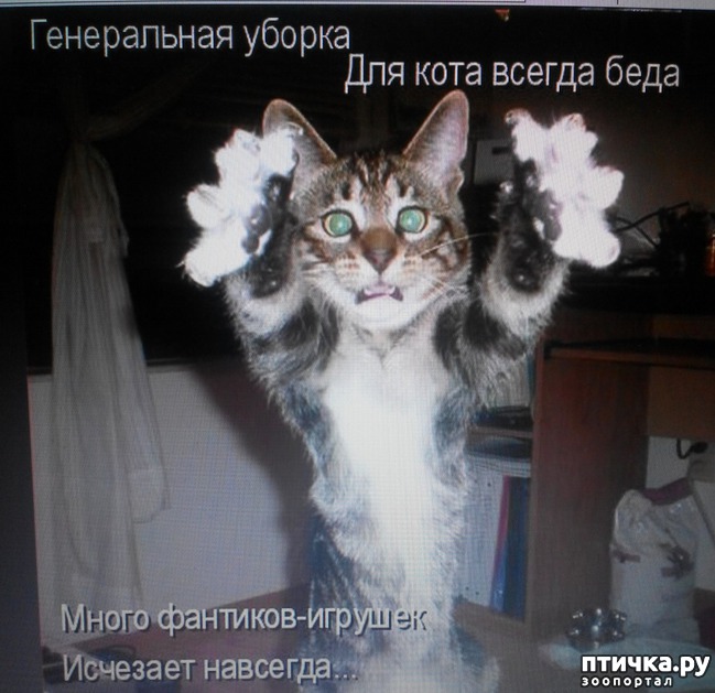 ���� 10: �����������, ��!