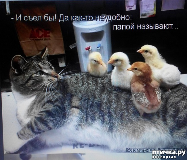 ���� 11: �����������, ��!