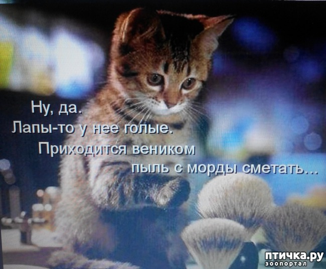 ���� 12: �����������, ��!