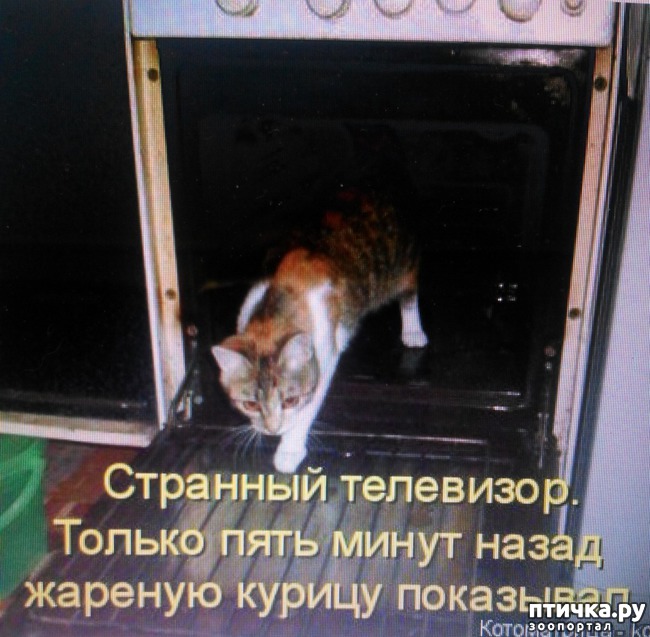 ���� 13: �����������, ��!