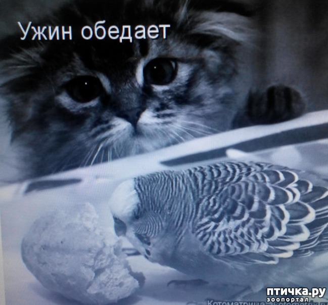 ���� 14: �����������, ��!