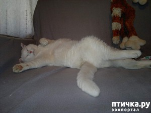 ����: ����� ��� ����.