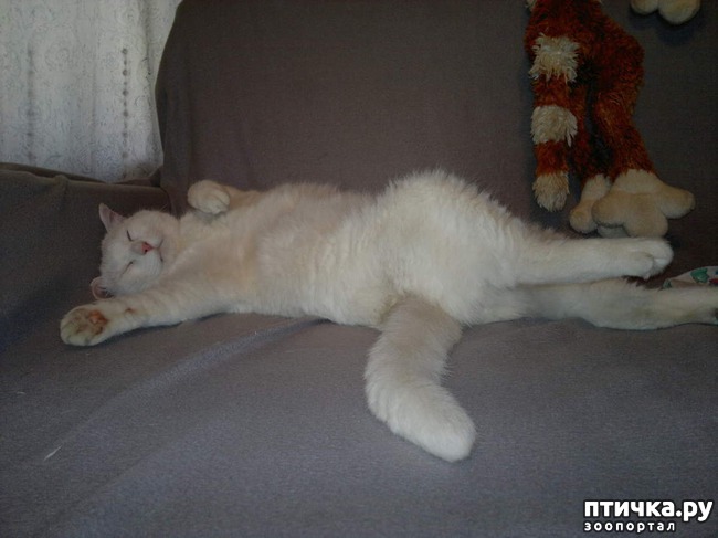 ���� 1: ����� ��� ����.