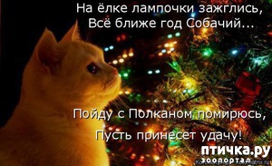 ����: ����������� ����������� ���� � ����������� ����� 2018 �����!!!