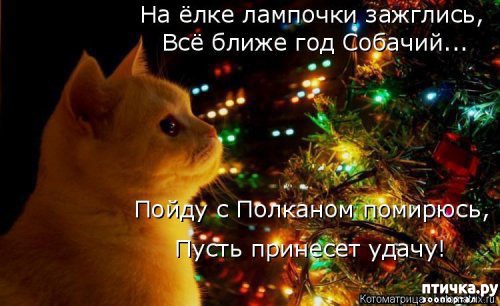 ���� 1: ����������� ����������� ���� � ����������� ����� 2018 �����!!!