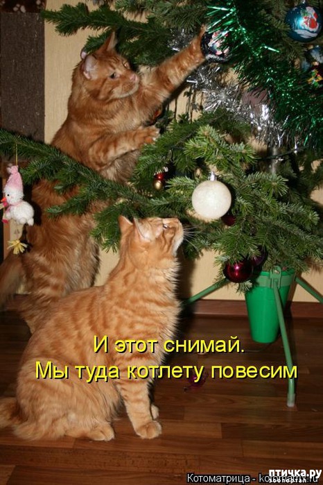 ���� 3: ����������� ����������� ���� � ����������� ����� 2018 �����!!!