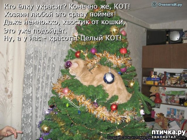 ���� 6: ����������� ����������� ���� � ����������� ����� 2018 �����!!!