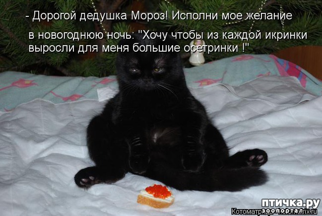 ���� 7: ����������� ����������� ���� � ����������� ����� 2018 �����!!!