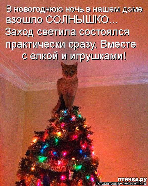 ���� 11: ����������� ����������� ���� � ����������� ����� 2018 �����!!!