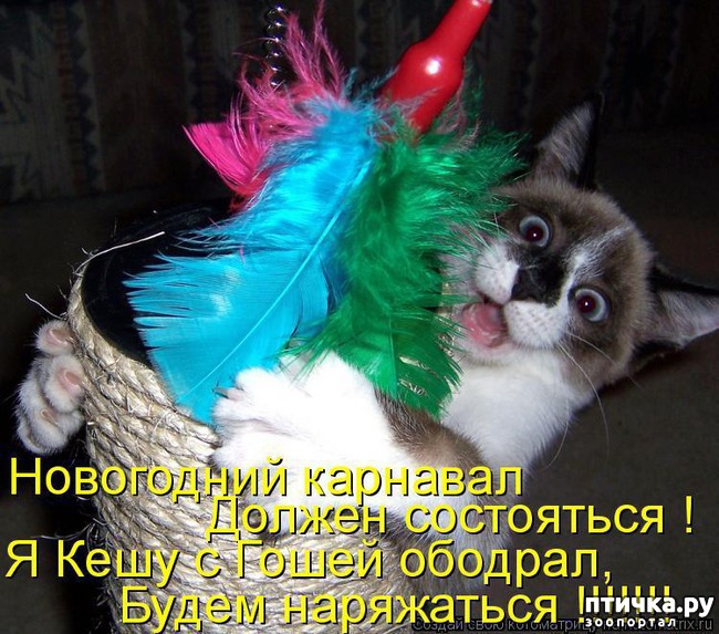 ���� 15: ����������� ����������� ���� � ����������� ����� 2018 �����!!!