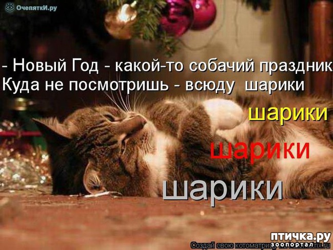 ���� 16: ����������� ����������� ���� � ����������� ����� 2018 �����!!!