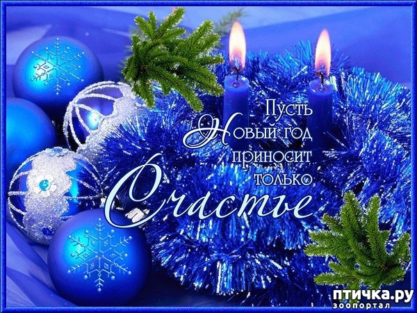 ���� 1: ��� ������.