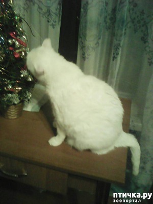 ����: ��� ����� ������!