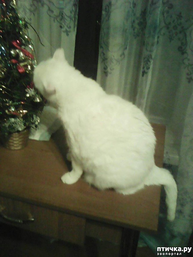 ���� 1: ��� ����� ������!