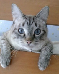 Наш любимчик Филипп