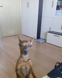 , - 