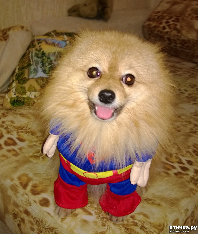 Афонасий
