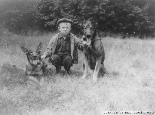фотография 1: Движения собачьей души фото 1: Движения собачьей души