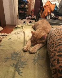 , -