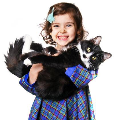 фотография 1: Кошки и дети (юмор, и не только!) фото 1: Кошки и дети (юмор, и не только!)