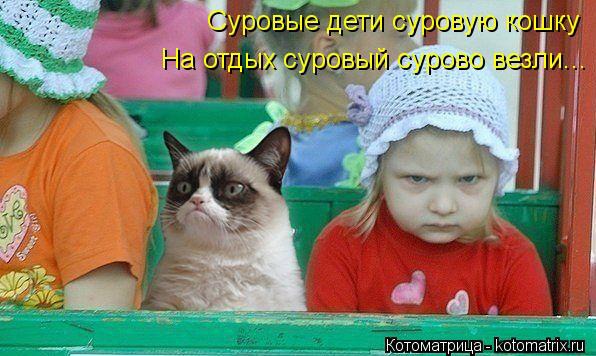 фотография 6: Кошки и дети (юмор, и не только!) фото 6: Кошки и дети (юмор, и не только!)
