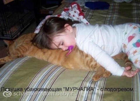 фотография 7: Кошки и дети (юмор, и не только!) фото 7: Кошки и дети (юмор, и не только!)