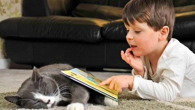 фотография 9: Кошки и дети (юмор, и не только!) фото 9: Кошки и дети (юмор, и не только!)