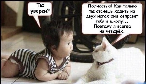 фотография 10: Кошки и дети (юмор, и не только!) фото 10: Кошки и дети (юмор, и не только!)