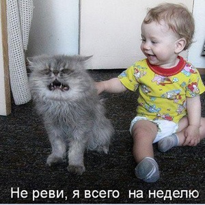 фотография 11: Кошки и дети (юмор, и не только!) фото 11: Кошки и дети (юмор, и не только!)