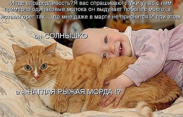 фотография 13: Кошки и дети (юмор, и не только!) фото 13: Кошки и дети (юмор, и не только!)