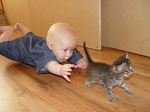 фотография 16: Кошки и дети (юмор, и не только!) фото 16: Кошки и дети (юмор, и не только!)
