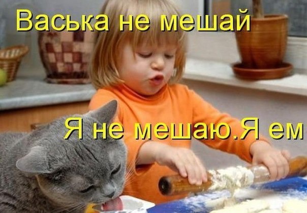 фотография 17: Кошки и дети (юмор, и не только!) фото 17: Кошки и дети (юмор, и не только!)