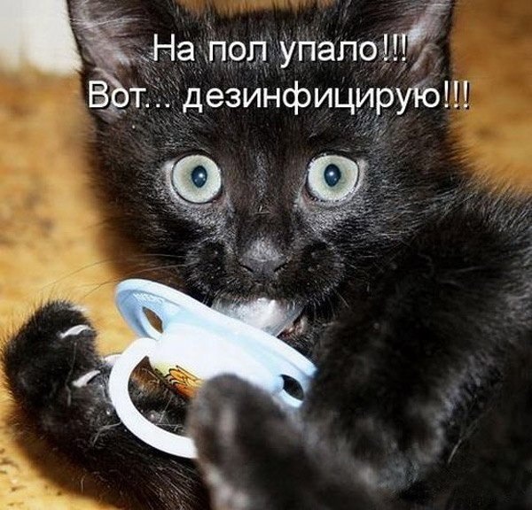 фотография 18: Кошки и дети (юмор, и не только!) фото 18: Кошки и дети (юмор, и не только!)