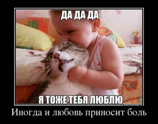 фотография 19: Кошки и дети (юмор, и не только!) фото 19: Кошки и дети (юмор, и не только!)