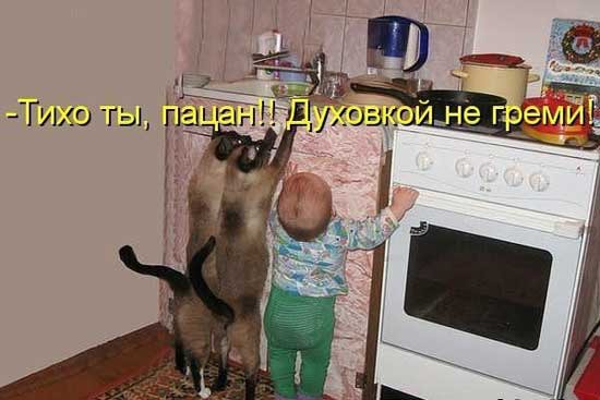 фотография 20: Кошки и дети (юмор, и не только!) фото 20: Кошки и дети (юмор, и не только!)