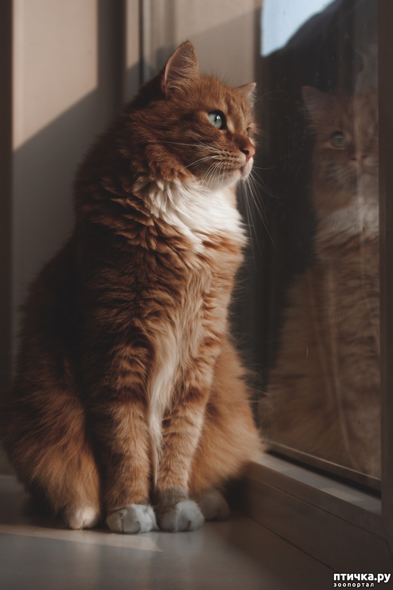 Кубик.