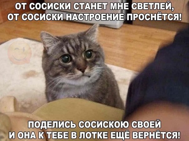 фотография 4: Котоматрица (котоюмор!)! фото 4: Котоматрица (котоюмор!)!