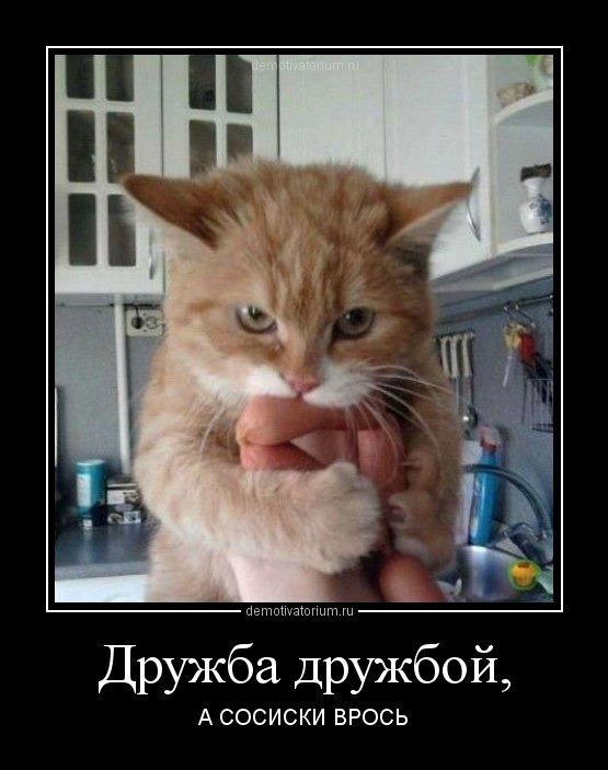 фотография 7: Котоматрица (котоюмор!)! фото 7: Котоматрица (котоюмор!)!