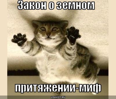 фотография 10: Котоматрица (котоюмор!)! фото 10: Котоматрица (котоюмор!)!