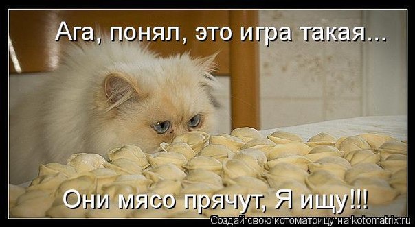 фотография 11: Котоматрица (котоюмор!)! фото 11: Котоматрица (котоюмор!)!