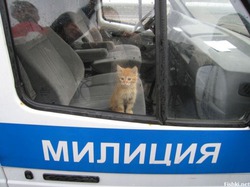 фотография: Видно я по жизни буду рыжим фото: Видно я по жизни буду рыжим