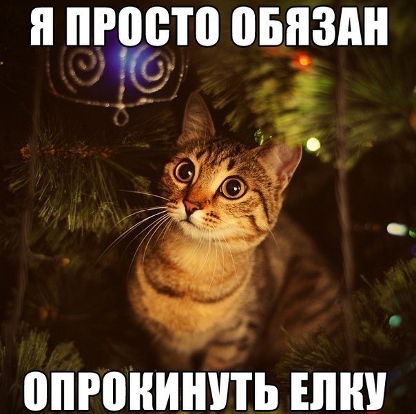 фотография 2: Котоматрица "Кот и Новый год"! фото 2: Котоматрица "Кот и Новый год"!