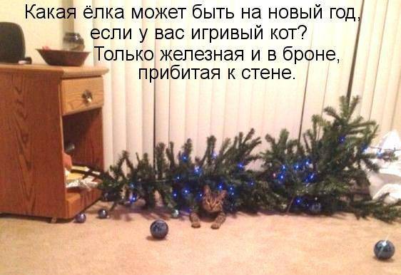 фотография 4: Котоматрица "Кот и Новый год"! фото 4: Котоматрица "Кот и Новый год"!