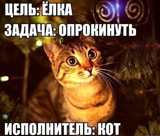 фотография 7: Котоматрица "Кот и Новый год"! фото 7: Котоматрица "Кот и Новый год"!