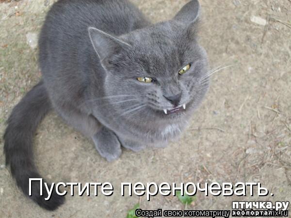  1:    ()