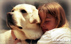 ����: �������� �� ������!!!