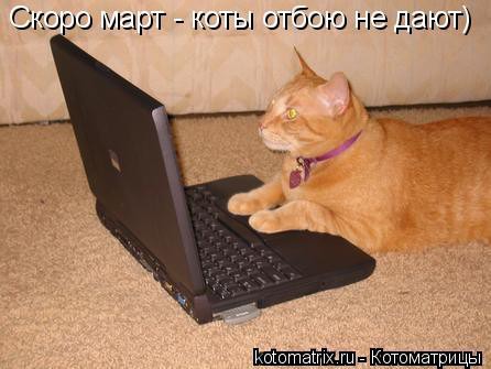 фотография 5: Котоматрица: Кот и компьютер! фото 5: Котоматрица: Кот и компьютер!