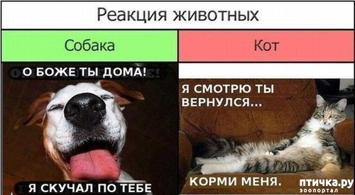  1:     . ()