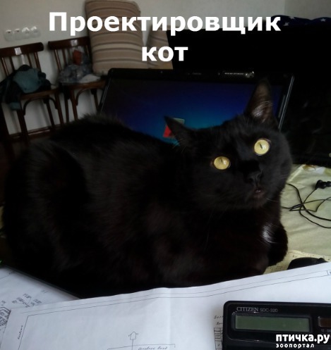  , -